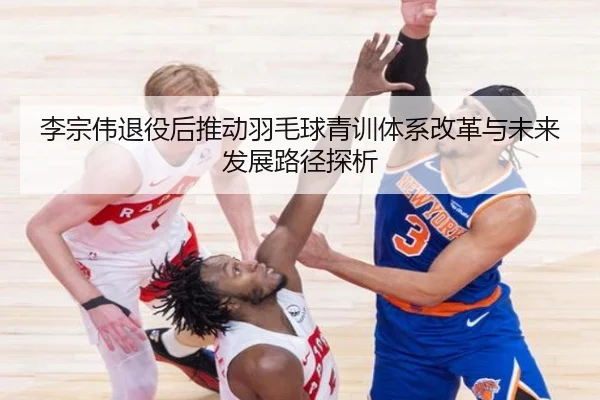 李宗伟退役后推动羽毛球青训体系改革与未来发展路径探析 - AYX SPORTS